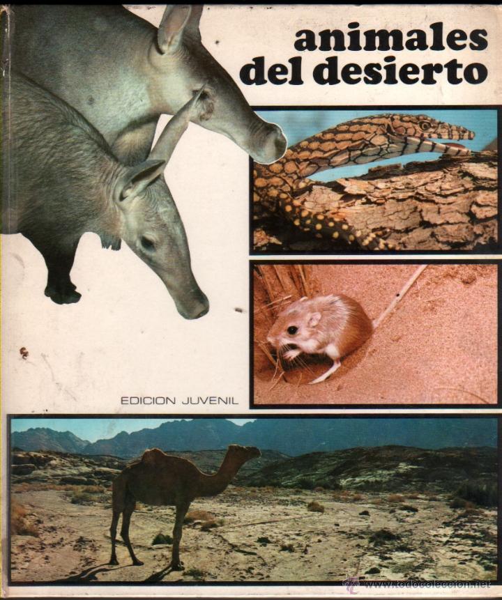 Animales Del Desierto Silvia Coromina Muy I Acquista Libri