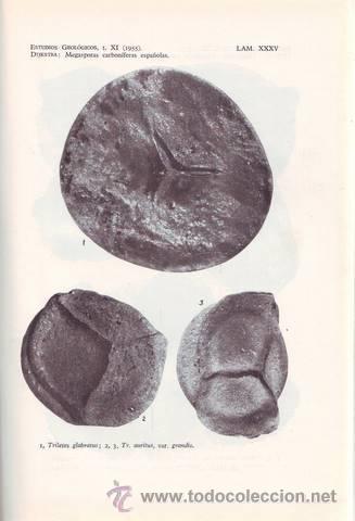 Libros de segunda mano: ESTUDIOS GEOLOGICOS N&ordm; 27-28. - Foto 2