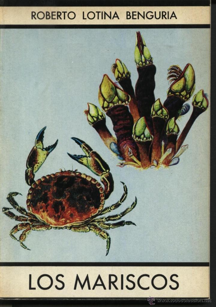Libros de segunda mano: LOTINA BENGURIA, ROBERTO / LOS MARISCOS - Foto 1
