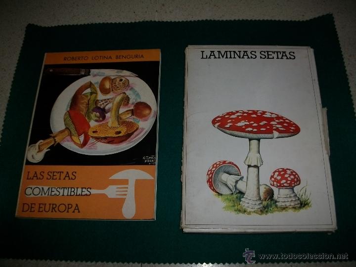 Second hand books: LOTE CUATRO LIBROS SETAS COMESTIBLES DE EUROPA Y PEN&Iacute;NSULA + L&Aacute;MINAS