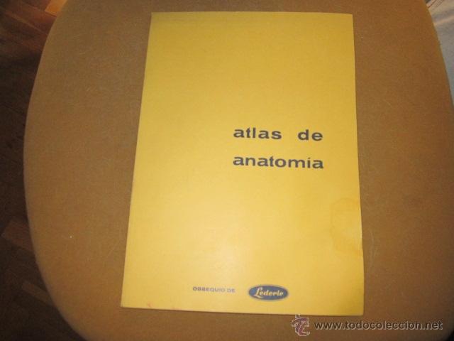 Libros de segunda mano: ATLAS DE ANATOM&Iacute;A, Obsequio de Lederle. 29 x 21 - Foto 1