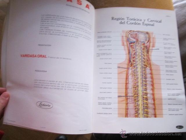 Libros de segunda mano: ATLAS DE ANATOM&Iacute;A, Obsequio de Lederle. 29 x 21 - Foto 5