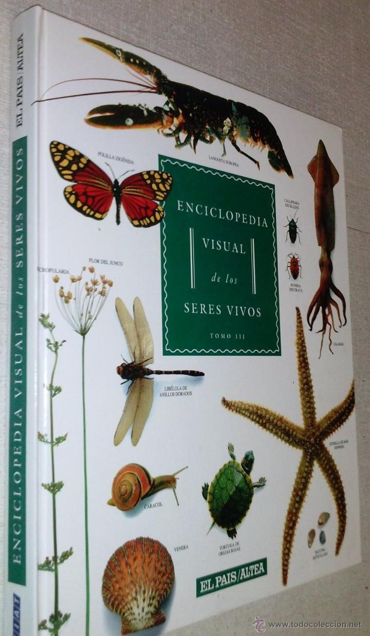 Libri di seconda mano: GRAN FORMATO - ENCICLOPEDIA VISUAL DE LOS SERES VIVOS TOMO III- ESPL&Eacute;NDIDAS ILUSTRACIONES