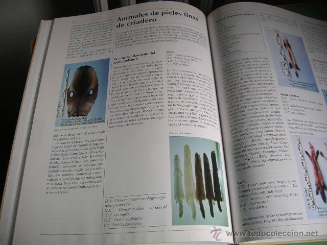Libros de segunda mano: Libro Hombres, animales,pieles - Foto 2