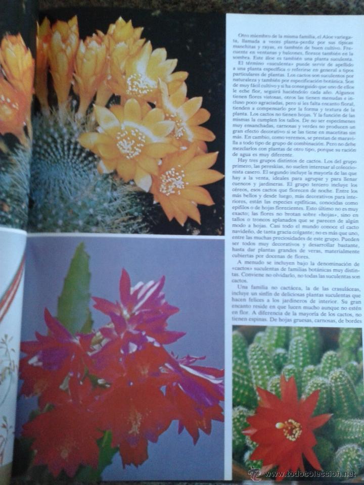 Libros de segunda mano: -- FLORES Y PLANTAS EN CASA -- VIOLET STEVENSON -- - Foto 2
