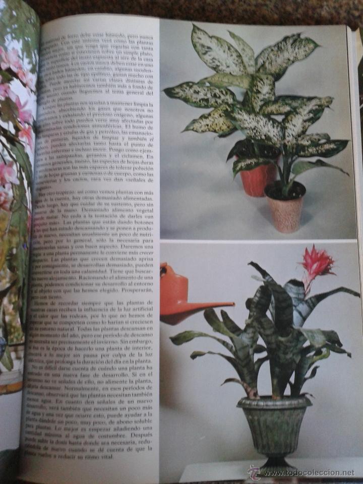 Libros de segunda mano: -- FLORES Y PLANTAS EN CASA -- VIOLET STEVENSON -- - Foto 3
