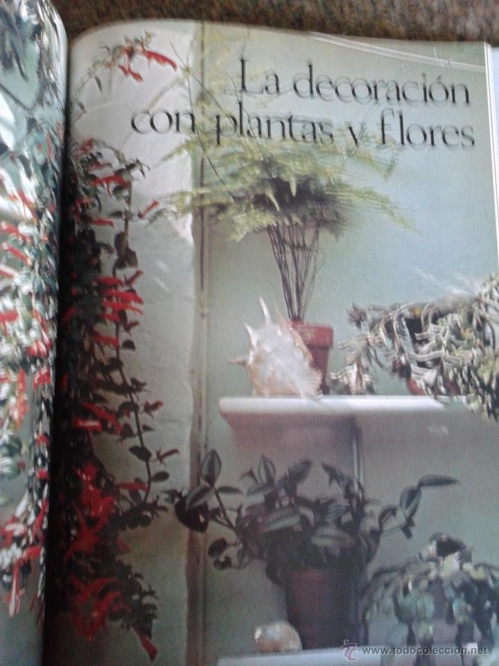 Libros de segunda mano: -- FLORES Y PLANTAS EN CASA -- VIOLET STEVENSON -- - Foto 4