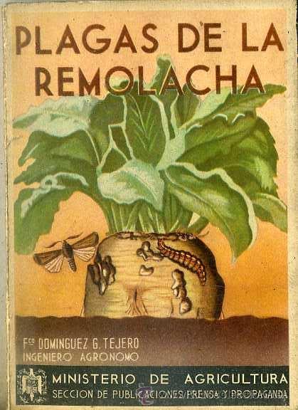 Libros de segunda mano: PLAGAS DE LA REMOLACHA (1942) - Foto 1