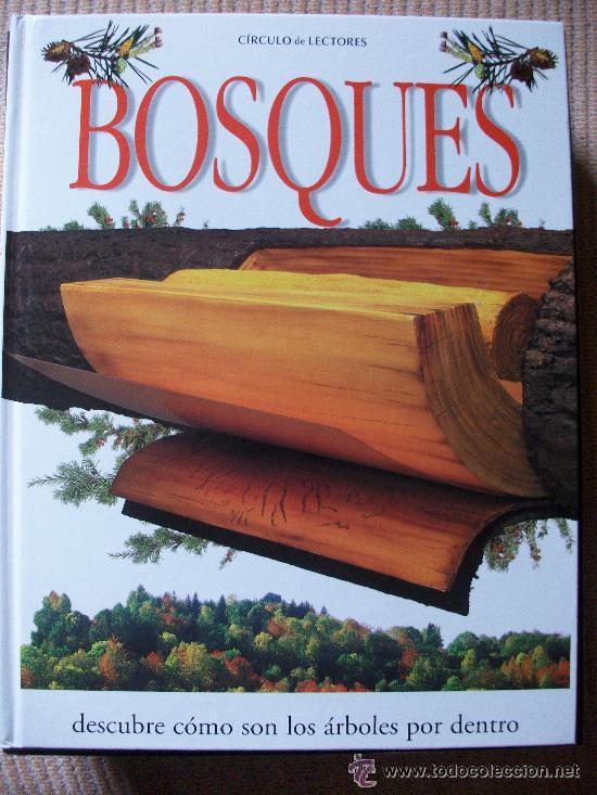 Libros de segunda mano: BOSQUES   ........... DE CIRCULO DE LECTORES - Foto 1