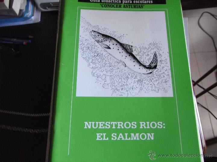 Libros de segunda mano: Nuestros r&iacute;os: el salm&oacute;n. Gu&iacute;a did&aacute;ctica. - Foto 1