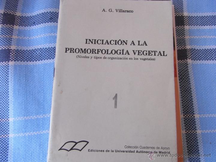 Libros de segunda mano: Iniciaci&oacute;n a la promorfolog&iacute;a vegetal (Niveles y tipos de organizaci&oacute;n en los vegetales)