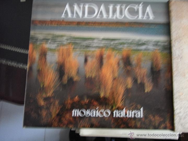 Libros de segunda mano: Andaluc&iacute;a. Mosaico natural. - Foto 1