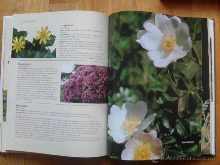 Libros de segunda mano: EL GRAN LIBRO DE LA JARDINERIA. Ediciones Rueda - Foto 2