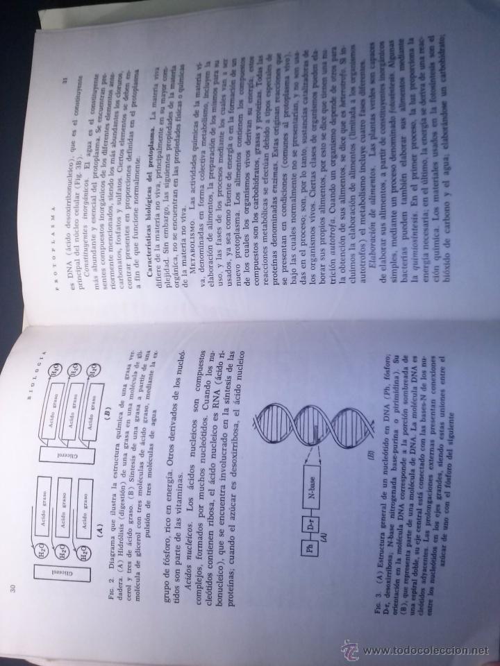 Libros de segunda mano: cecsa serie compendios cientificos (gordon alexander) - Foto 4