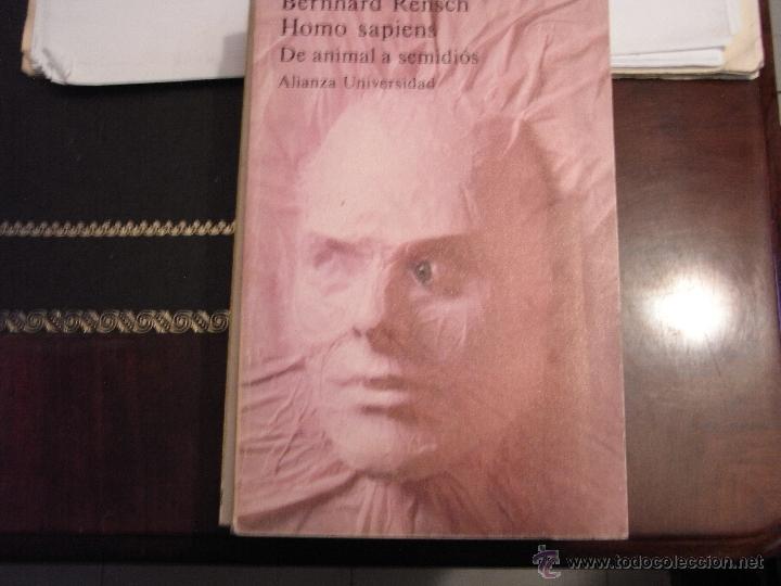 Libros de segunda mano: Homo sapiens. De animal a semidi&oacute;s. B. Rensch