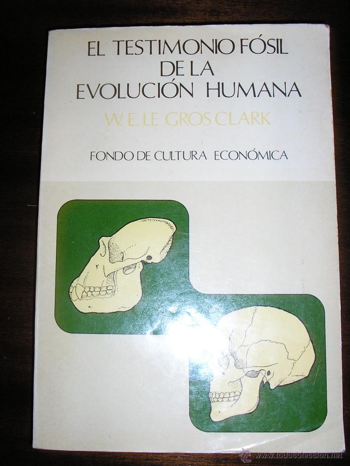 EL TESTIMONIO FOSIL DE LA EVOLUCION HUMANA, POR W.E. LE GROS CLARK - FCE - MÉXICO - 1976 - RARO! (Libros de Segunda Mano - Ciencias, Manuales y Oficios - Paleontología y Geología)