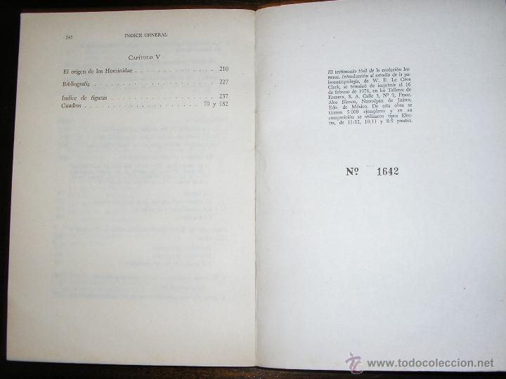 Libros de segunda mano: EL TESTIMONIO FOSIL DE LA EVOLUCION HUMANA, por W.E. LE GROS CLARK - FCE - México - 1976 - RARO! - Foto 4 - 40675949