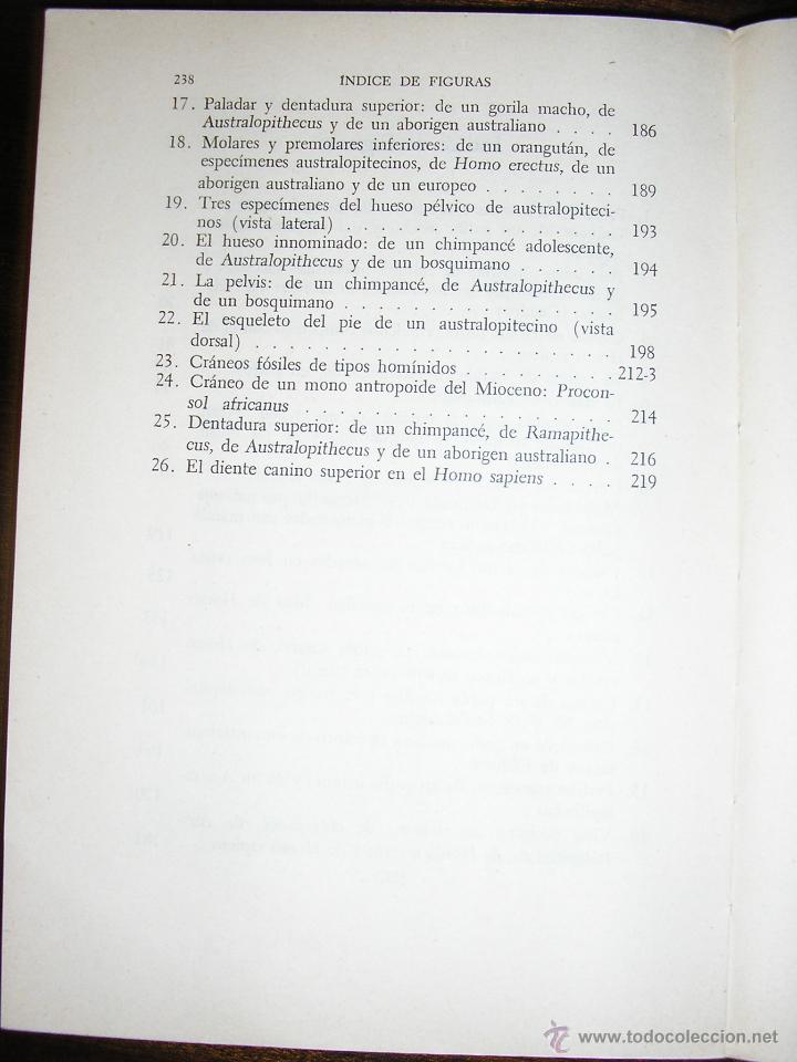 Libros de segunda mano: EL TESTIMONIO FOSIL DE LA EVOLUCION HUMANA, por W.E. LE GROS CLARK - FCE - México - 1976 - RARO! - Foto 6 - 40675949