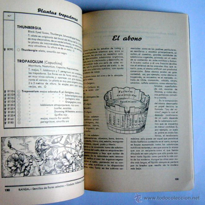 Libros de segunda mano: KANDA - SEMILLAS DE FLORES SELECTAS - LIBRO CATALOGO N&ordm; 3 -1950 - Foto 3