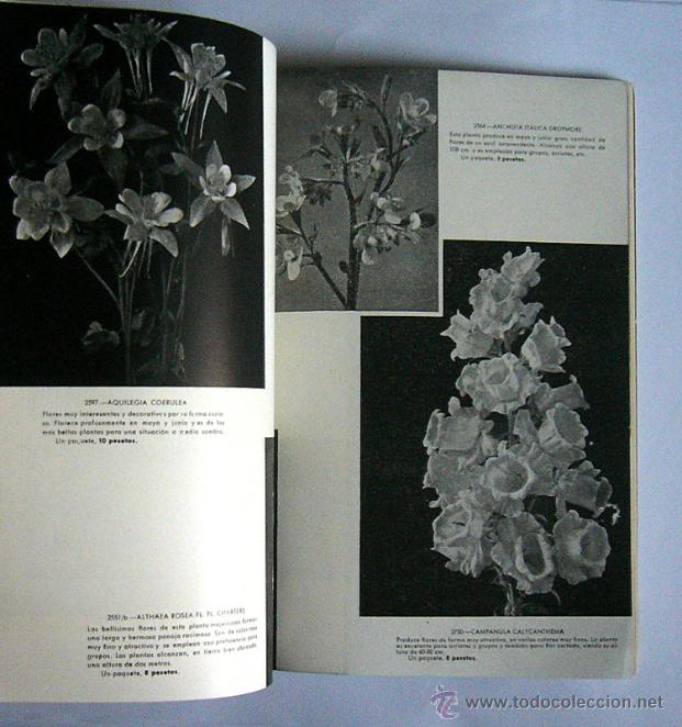 Libros de segunda mano: KANDA - SEMILLAS DE FLORES SELECTAS - LIBRO CATALOGO N&ordm; 3 -1950 - Foto 4