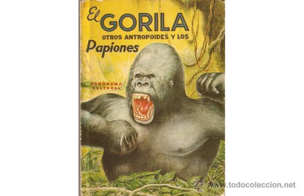 Libros de segunda mano: EL GORILA OTROS ANTROPOIDES Y LOS PAPIONES, por A. Carneiro - Novaro - México - 1962 - RARO! - Foto 1 - 40849342