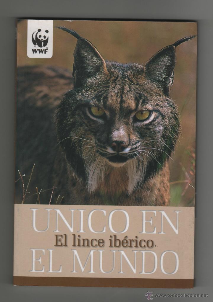 Libros de segunda mano: EL LINCE IBERICO - UNICO EN EL MUNDO. - Foto 1