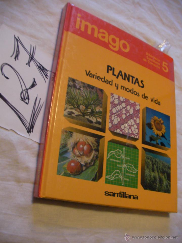 Libros de segunda mano: BIBLIOTECA SANTILLANA DE CONSULTA - PLANTAS - Foto 1