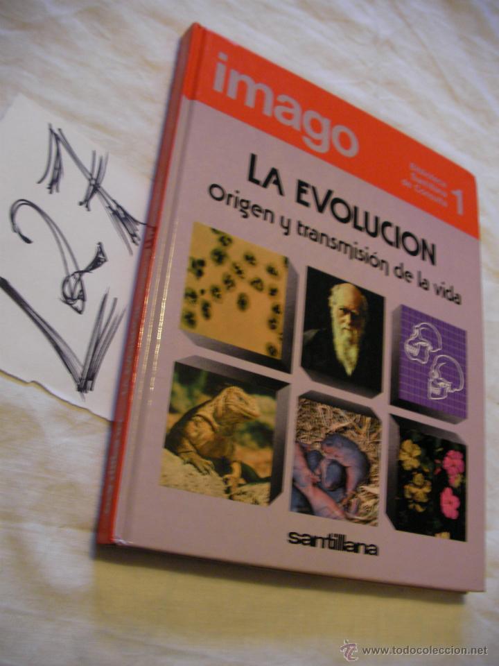 Libros de segunda mano: BIBLIOTECA SANTILLANA DE CONSULTA - LA EVOLUCION - Foto 1