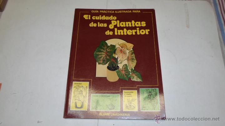 Libros de segunda mano: El cuidado de las plantas del interior, Guia practica ilustrada, Blume, 1990 - Foto 1