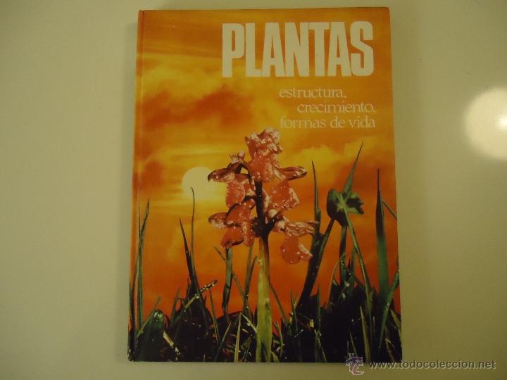 Libros de segunda mano: Plantas - Foto 1