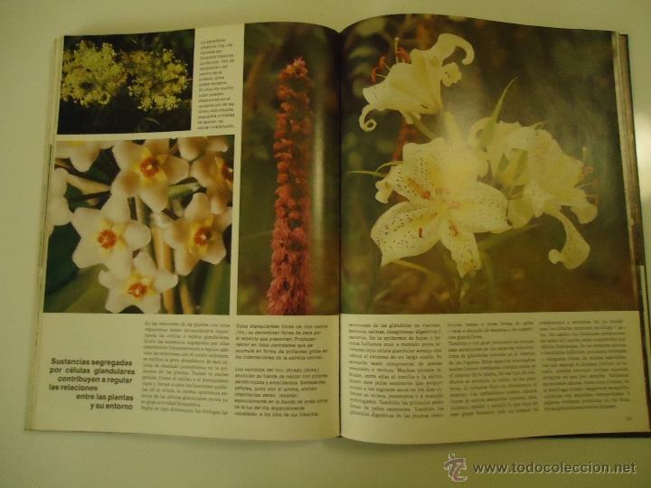 Libros de segunda mano: Plantas - Foto 3