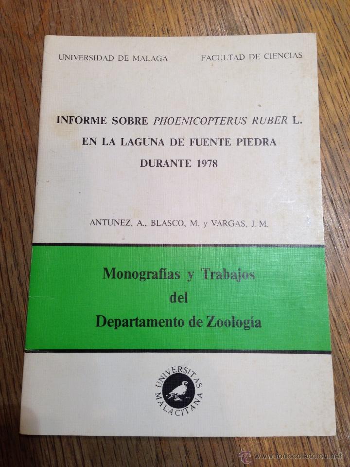 Libri di seconda mano: INFORME SOBRE EL FLAMENCO (PHOENICOPTERUS RUBER) EN LA LAGUNA DE FUENTE PIEDRA - MALAGA - A&Ntilde;O 1978