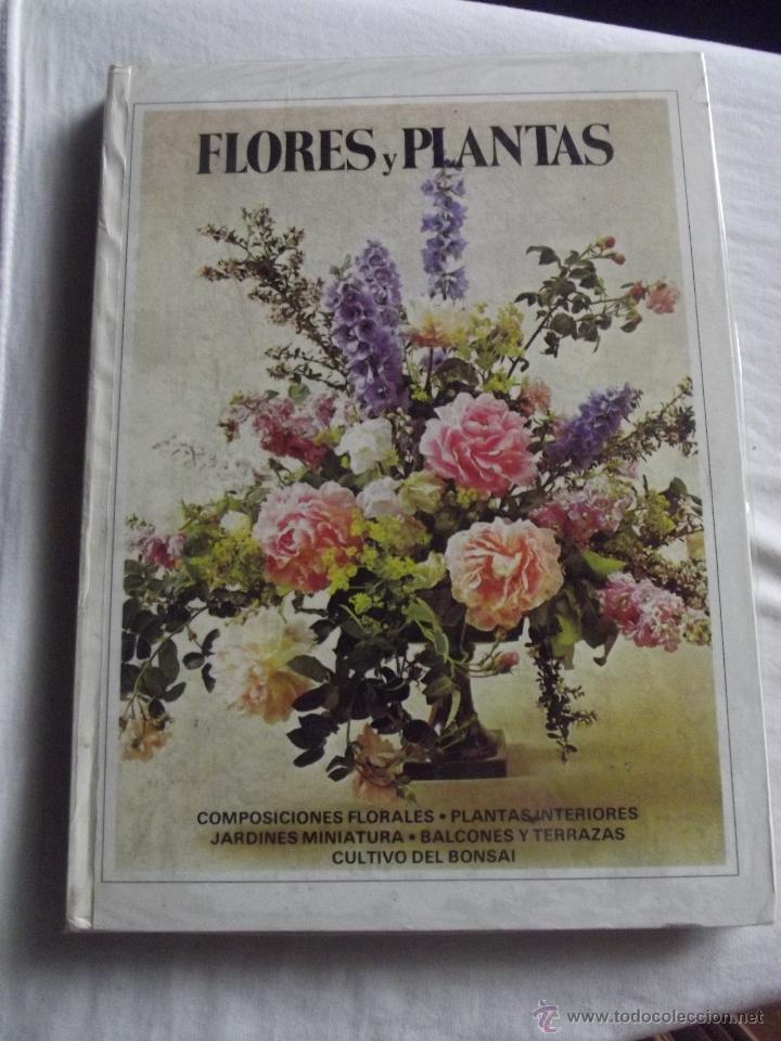 Gebrauchte B&uuml;cher: FLORES Y PLANTAS PARA EL HOGAR COMPOSICIONES - JARDINES MINIATURA - BALCONES
