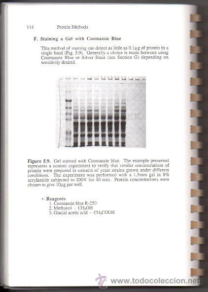 Libros de segunda mano de ciencias: PROTEIN METHODS. BOLLAG. EDELSTEIN. WILEY-LISS. 1992, - Foto 5