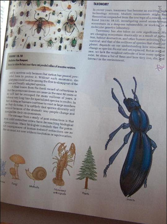 Libros de segunda mano: EN INGLES - Foto 3