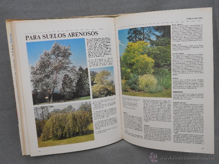 Libros de segunda mano: NUESTRO JARDIN DE DAVID STEVENS - Foto 2