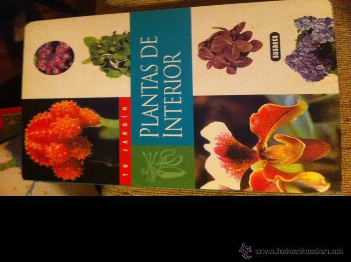 Libros de segunda mano: Plantas de interior. Susaeta. - Foto 1