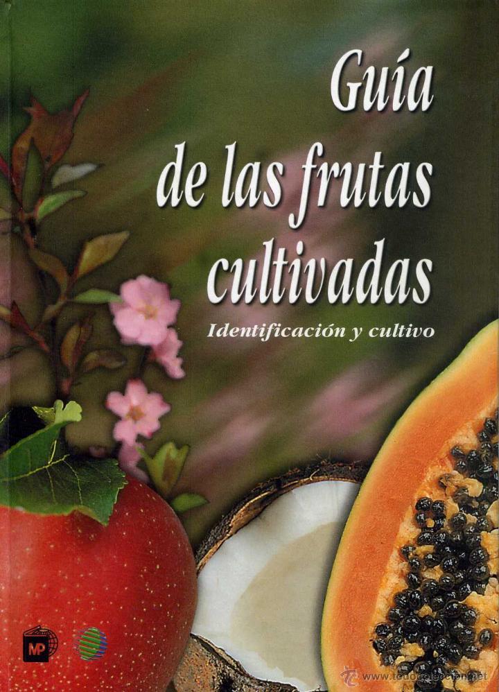 Libros de segunda mano: Gu&iacute;a de las frutas cultivadas - Foto 1
