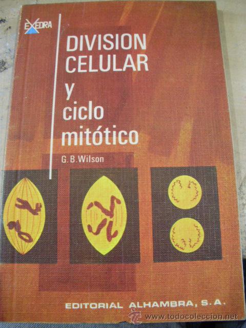 Gebrauchte B&uuml;cher: DIVISI&Oacute;N CELULAR Y CICLO MIT&Oacute;TICO (Madrid, 1969)