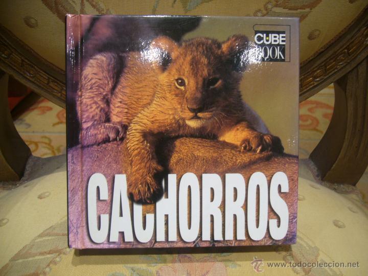 Libros de segunda mano: CUBE BOOK: CACHORROS, DE ANGELA SERENA ILDOS. MUY ILUSTRADO. - Foto 1