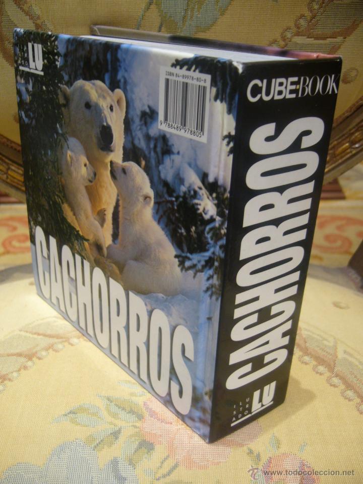 Libros de segunda mano: CUBE BOOK: CACHORROS, DE ANGELA SERENA ILDOS. MUY ILUSTRADO. - Foto 2