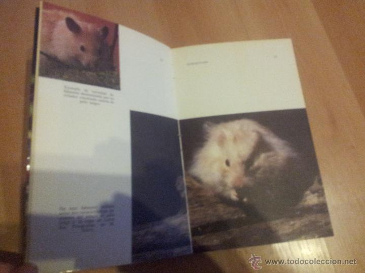 Libros de segunda mano: Hamsters, selecci&oacute;n y crianza, editorial Hispano Europea - Foto 2