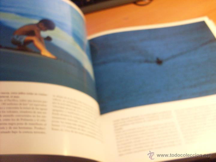 Libros de segunda mano: EL MAR DIA A DIA (PHILIP PLISSON) 2003 (LB59) - Foto 4