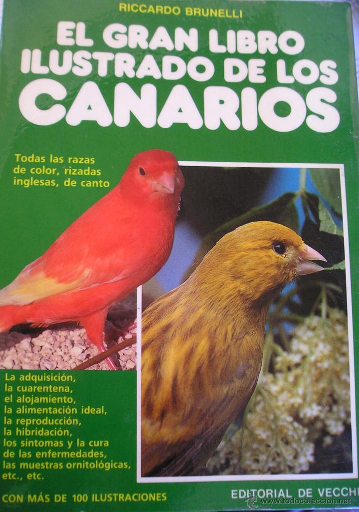 Libros de segunda mano: EL GRAN LIBRO ILUSTRADO DE LOS CANARIOS - Foto 1
