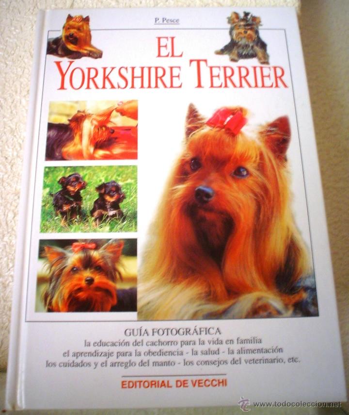 el yorkshire terrier - Compra venta en todocoleccion