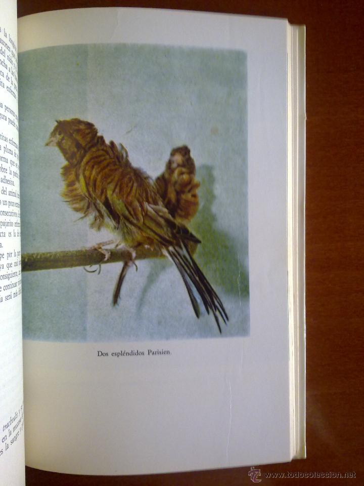 Libros de segunda mano: CR&Iacute;A MODERNA DE LOS CANARIOS: MANUAL PR&Aacute;CTICO, MARINA ROBERTI - Foto 2