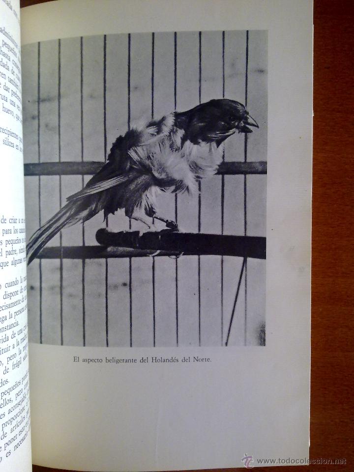 Libros de segunda mano: CR&Iacute;A MODERNA DE LOS CANARIOS: MANUAL PR&Aacute;CTICO, MARINA ROBERTI - Foto 3