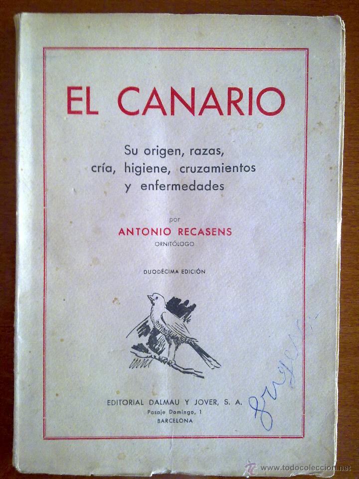 Libros de segunda mano: EL CANARIO, ANTONIO RECASENS - Foto 1