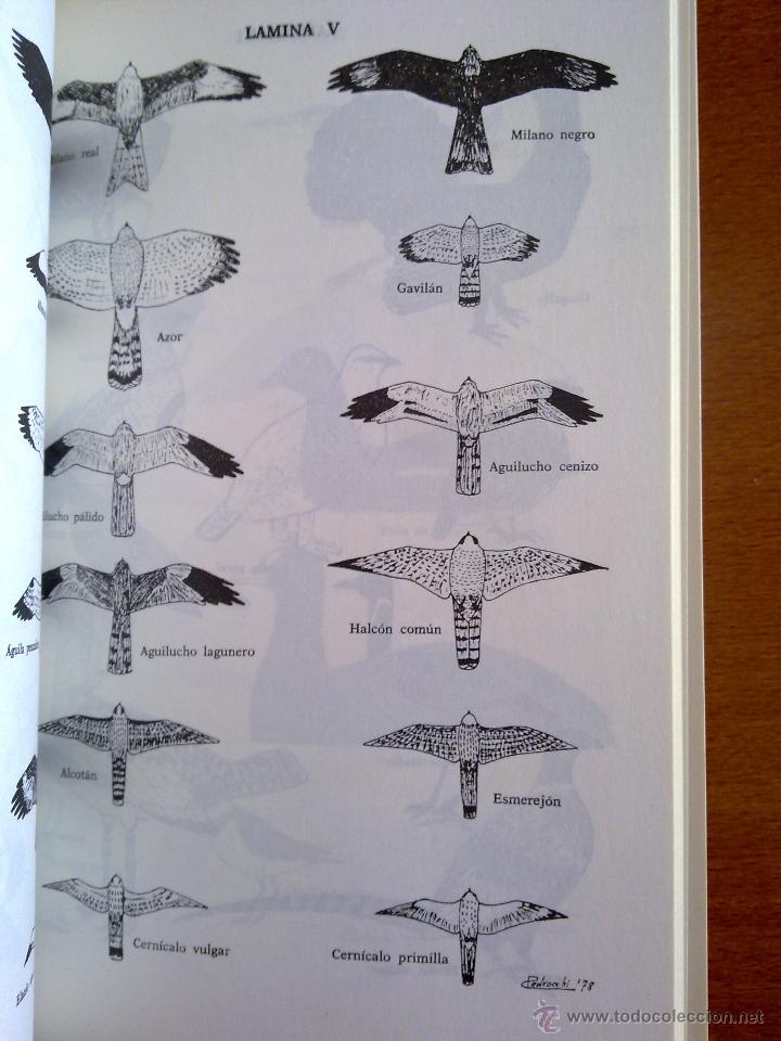 Libros de segunda mano: LAS AVES DE ARAG&Oacute;N, C&Eacute;SAR PEDROCCHI RENAULT - Foto 2