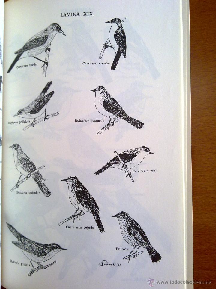 Libros de segunda mano: LAS AVES DE ARAG&Oacute;N, C&Eacute;SAR PEDROCCHI RENAULT - Foto 3
